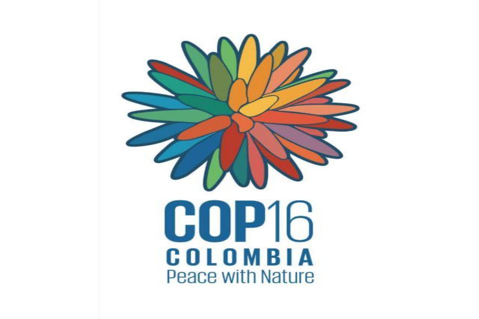 Announcement: COP16 to Take Place in Cali, Colombia